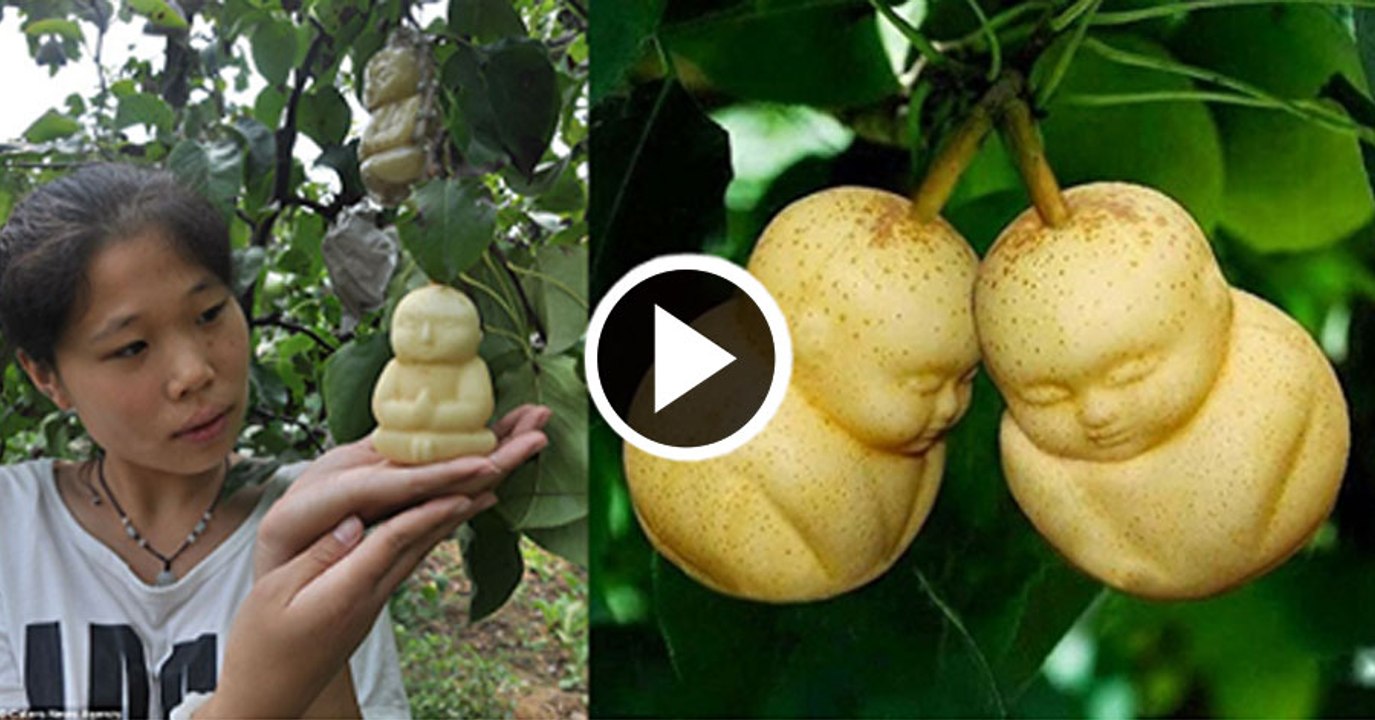 Baby Shaped Fruit