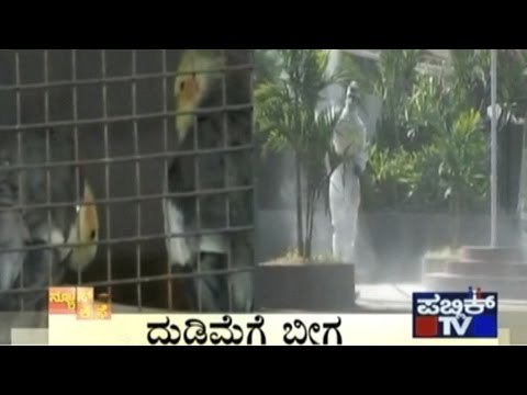 News Cafe | Top Stories | Jan 13th, 2017 | 8:00 AM