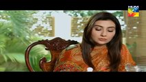 Woh Aik Pal ,Episode 14 HUM TV Drama   10 June 2017(360p)