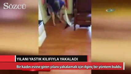 Yılanı yastık kılıfıyla yakaladı