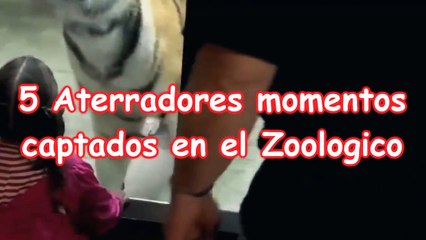 5 Aterradores Momentos captados en el Zoológico