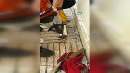 Elektrik Direğine Sıkışan Kediyi İtfaiye Kurtardı