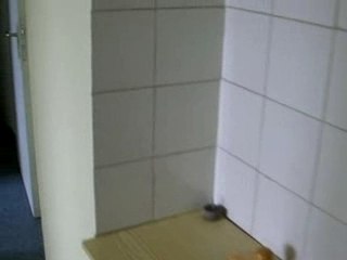 T2 à louer sur Villeneuve d'ascq