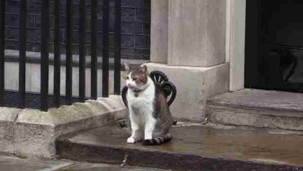 Theresa May ultima un Gobierno en minoría con el DUP entre presiones a su liderazgo