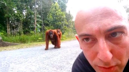 Most Hilarious Selfie Fails Ever