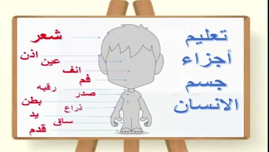 اجزاء الجسم للأطفال - تعلم أسماء اعضاء جسم الإنسان-Body parts for