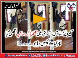 Woman Catches Snake In Pillow Case Like A Total Boss, Video Gone Viral