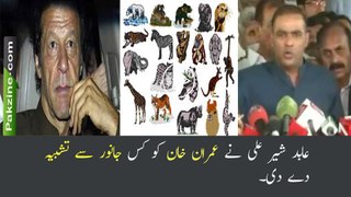 Abid Sher ali, which Animal Imran khan has similarity?