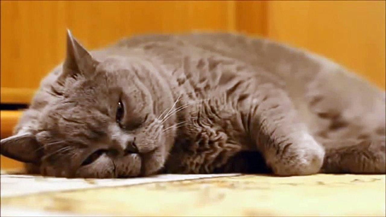 Klasik müzik dinlerken birden. :)