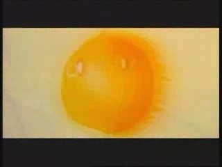 6_春天的微笑_M..