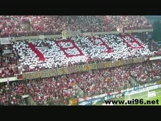 tifo standard de liege