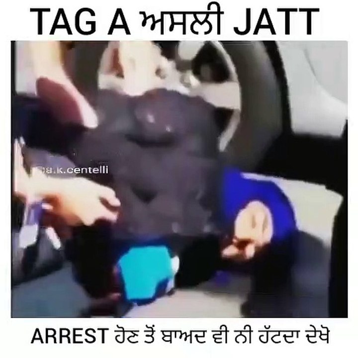 Punjabi Jatt