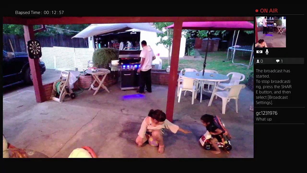 Bbq family first (699)