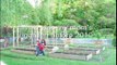 Aiman's Mom Backyard Garden Grow Your Own Organic Vegetables & Ideas - Connecticut USA