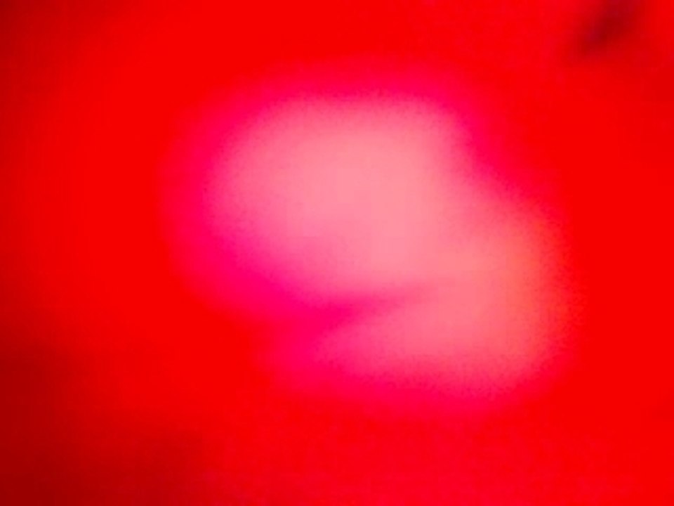 yoOo asiendo el nuseke