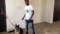 How To Train Your Dogwerwer234PEAK & STOP BARKING in Hindi _ dog training i