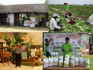 CALL 0812 - 2400 - 2400 (TSEL), Obat Tanaman Durian