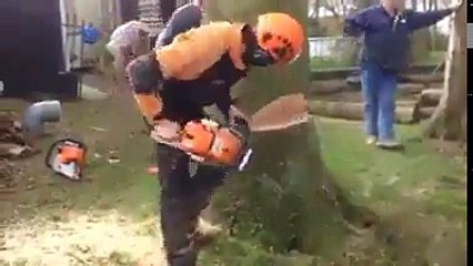 Dev Ağaç Kesim Yöntemi