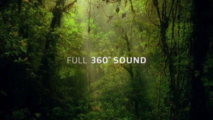 Dolby Atmos Amaze Cinema Trailer