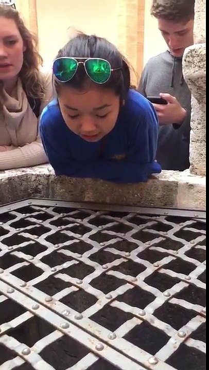 Girl sings hallelujah into a well