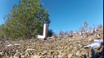 Bullets and plywood laminate cut in half with waterjet