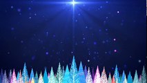 Colorful Christmas Trees - Motion Worship – Video Loops, Countdowns, & Moving Backgrounds for the Christian Church_1
