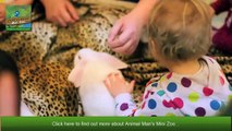 Animal Man Mini Zoo _ Animals and Children _ Kids Part w  ns Parties