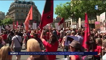 Manifestation pour l'interdiction des abattoirs
