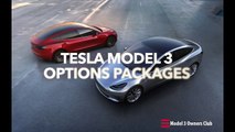 Tesla Model 3 Options   Model 3 Owne