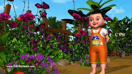 Naa Chinni Kannulu Chevulu Telugu Baby song - 3D Animation Telugu Rhymes For Children