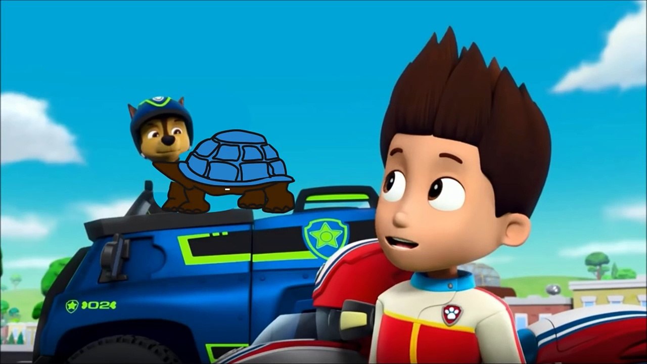 Paw Patrol Chase and pups transform into a Funny Tortoise - Learn Colors for kids