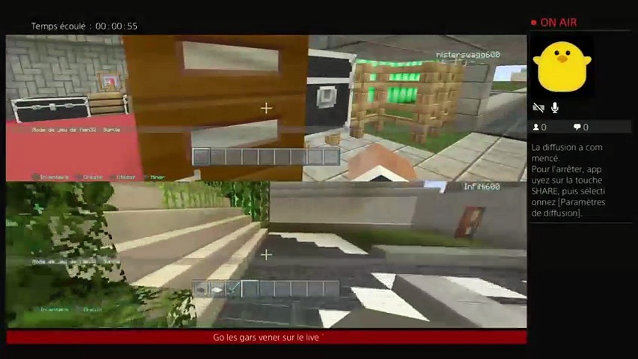 RP sur Minecraft (37)