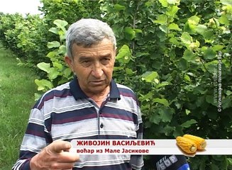 Selo moje, 11. jun 2017. (RTV Bor)