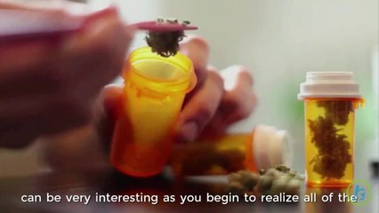 California Marijuana Dispensary's Provides Custom Guidance for Customers