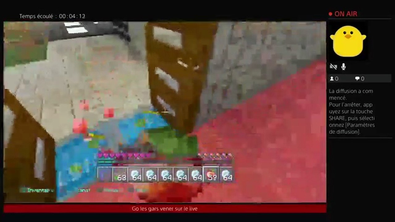 RP sur Minecraft (39)
