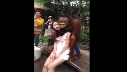 Hilarious Chinese Videos 😂