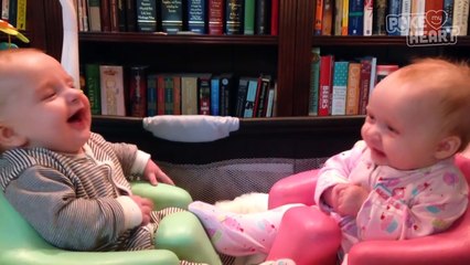 Yoga Cat VS Talking Twin Babies - Which Video Pokes Your Heart