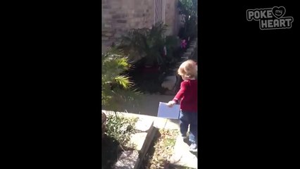 Little Boy Indecisive About Gifting Rose - Daily Heart Beat