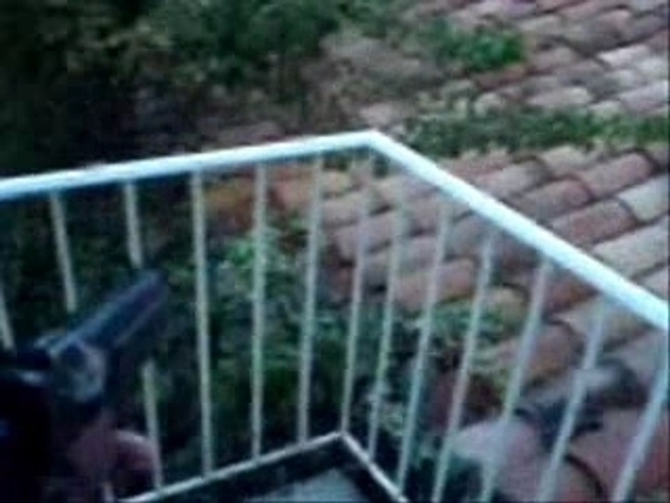 Notre video_0002