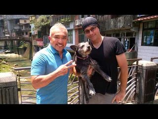 M13 meets  CESAR MILLAN  (The Dog Whisperer)