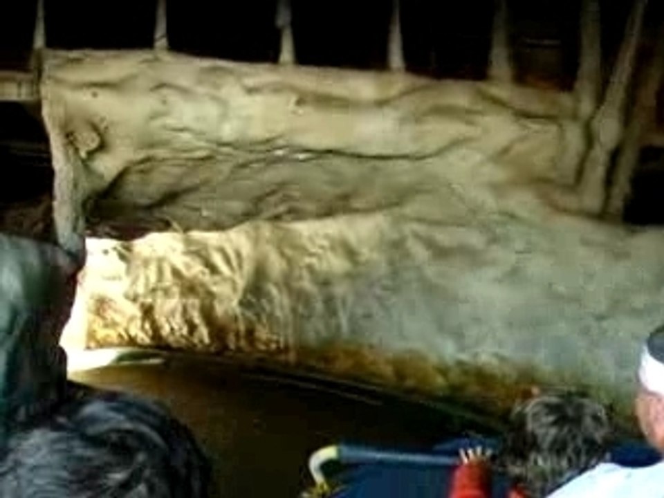 Le Grand Splash : 1ère descente