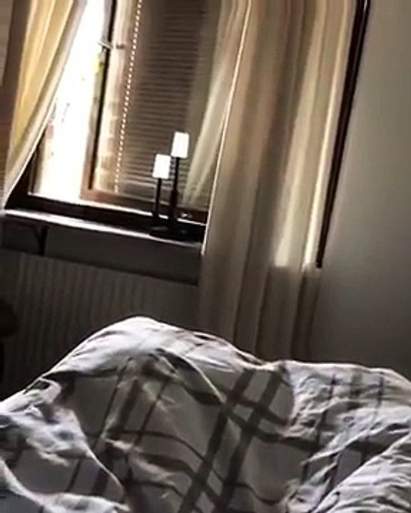 Zlatan Ibrahimovic responds to Manchester United release!!!