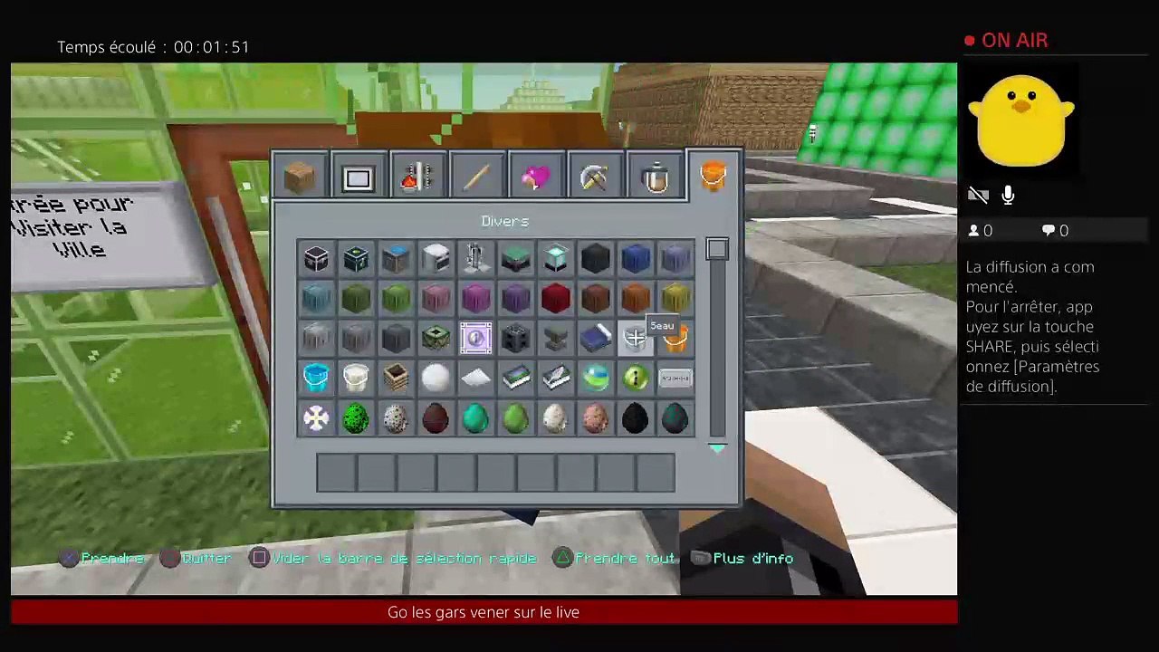 RP sur Minecraft (41)