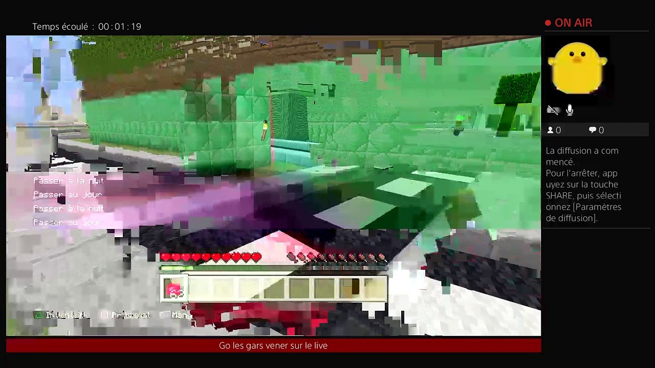 RP sur Minecraft (42)