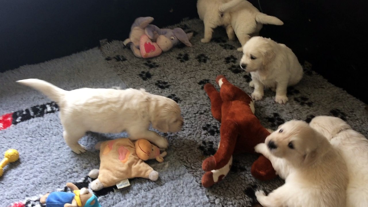 les bébés ont un mois