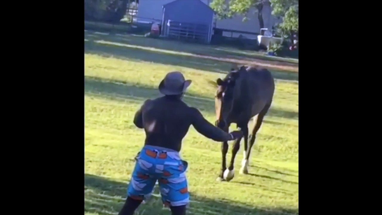 Il essaye de grimper sur ce cheval sans selle... FAIIIIL