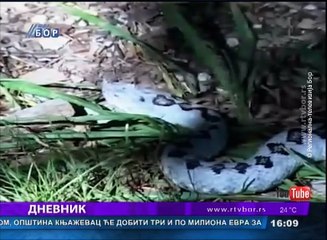 Dnevnik, 11. jun 2017. (RTV Bor)