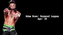 WWE Superstars Real Names and Ages  2016