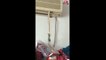 En Chine,un serpent pendant d'un climatiseur attrape une souris