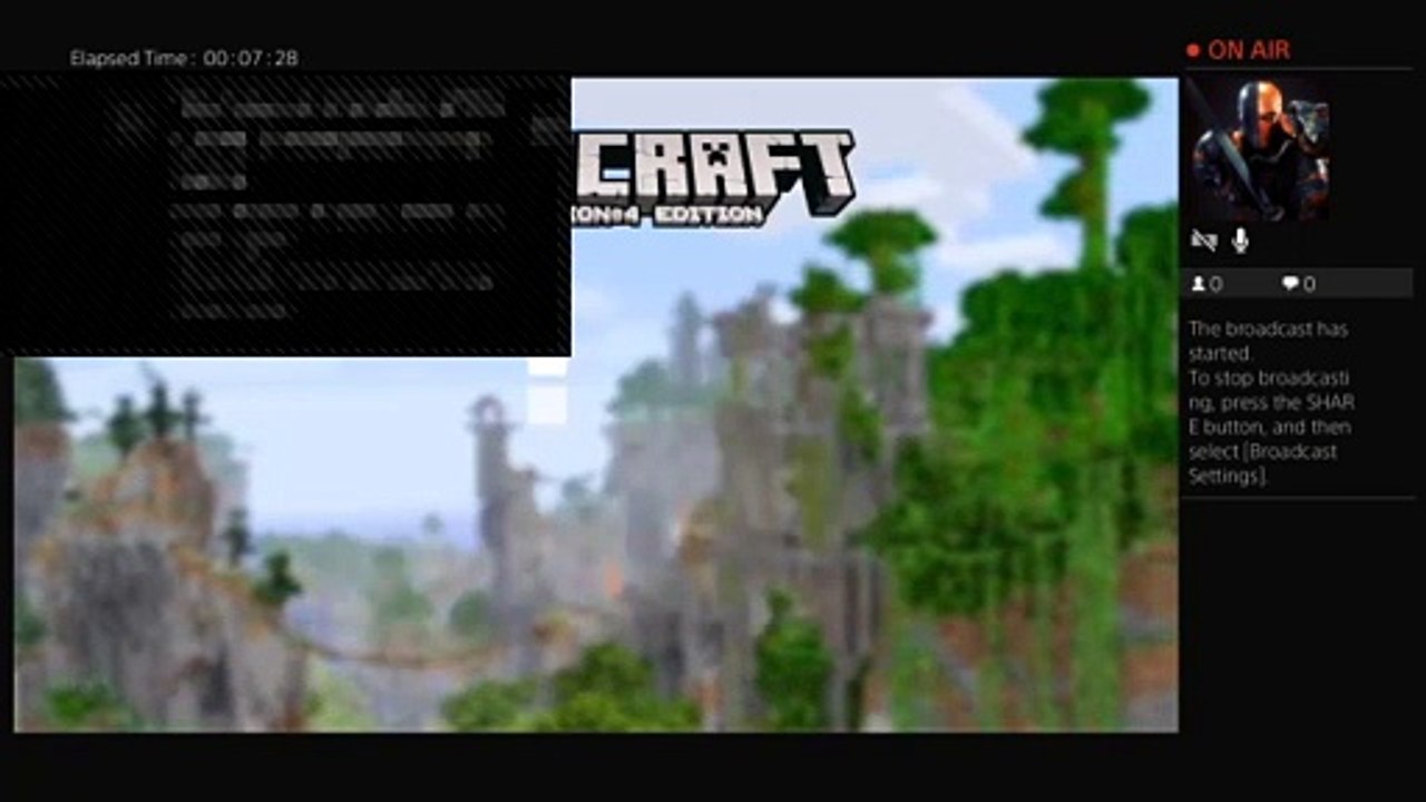 Mincraft (47)